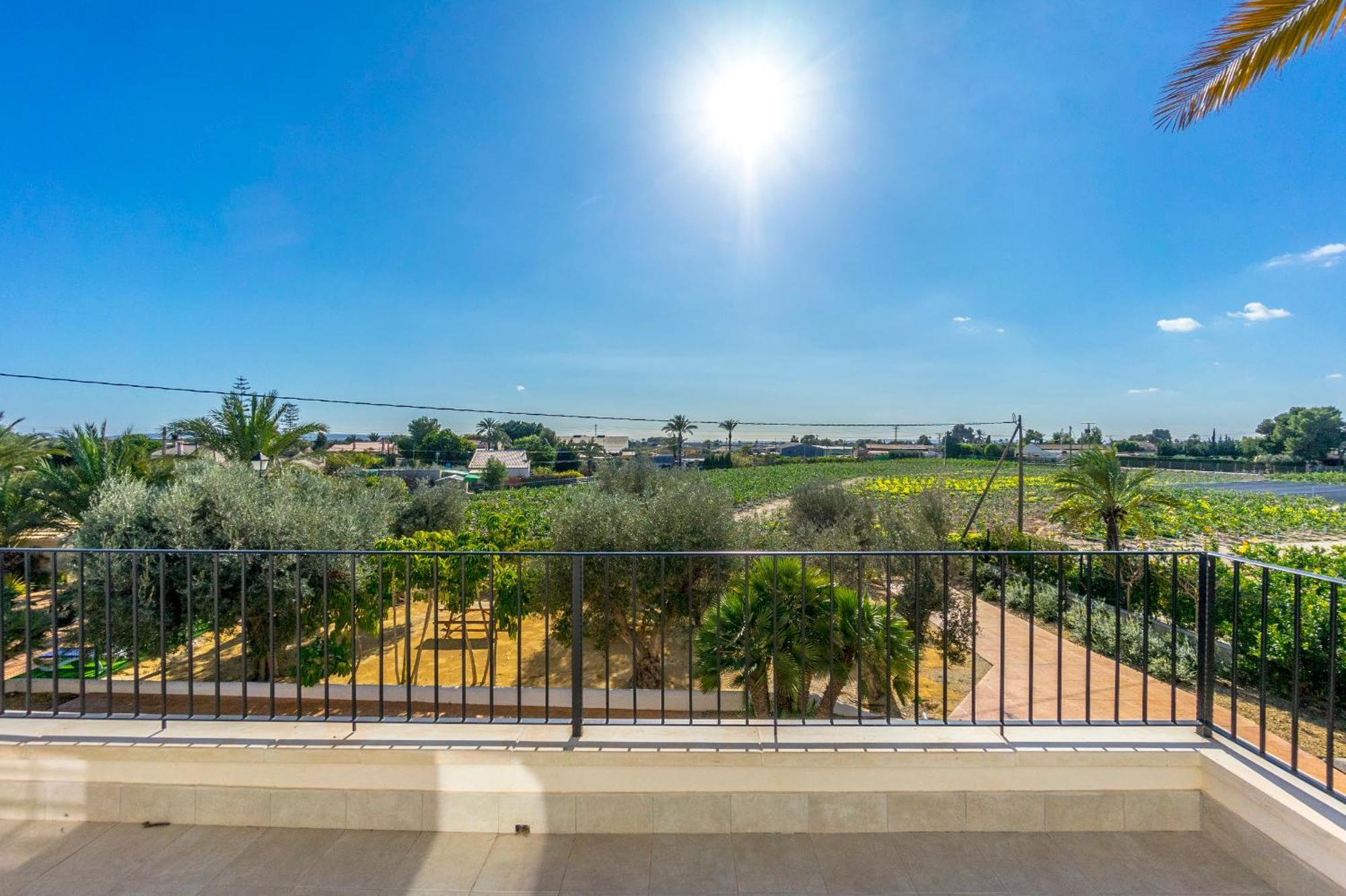 Finca Santa Barbara Elche Oda fotoğraf